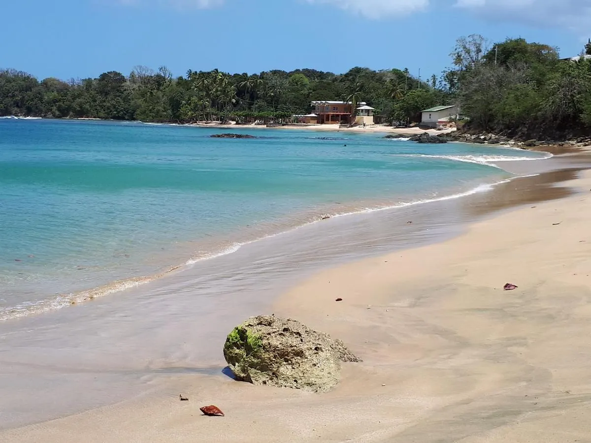 The Nest Tobago Apartments Buccoo