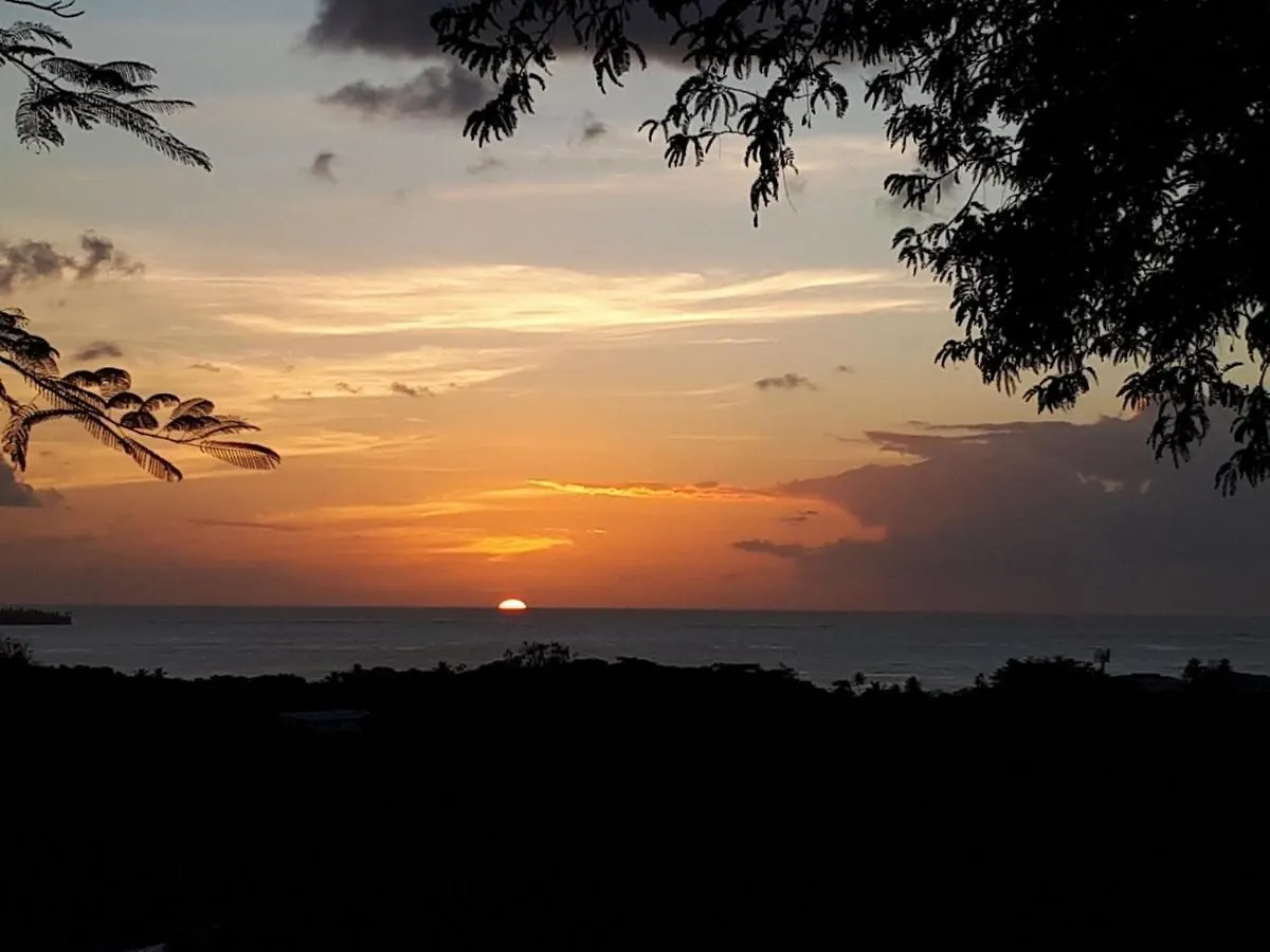 The Nest Tobago Apartments Buccoo 0*,