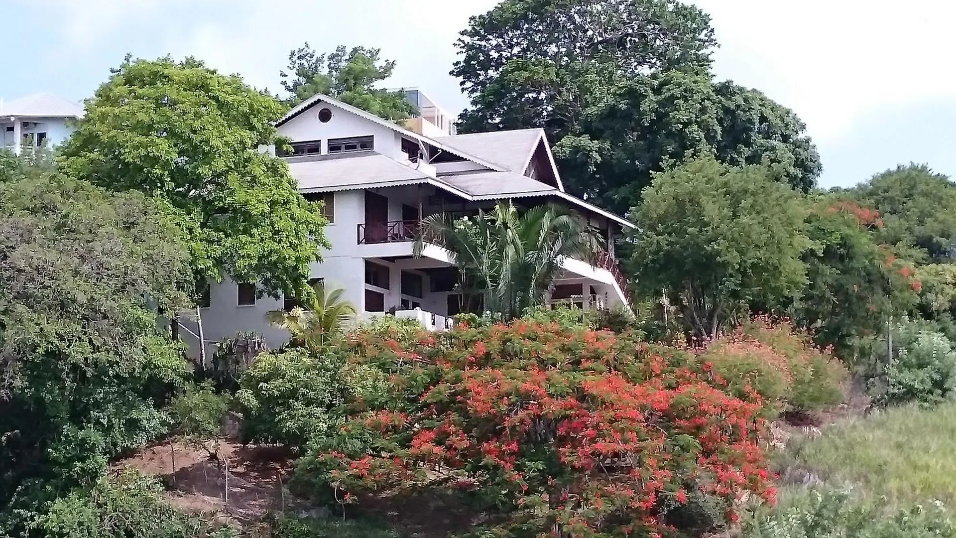 The Nest Tobago Apartments Buccoo