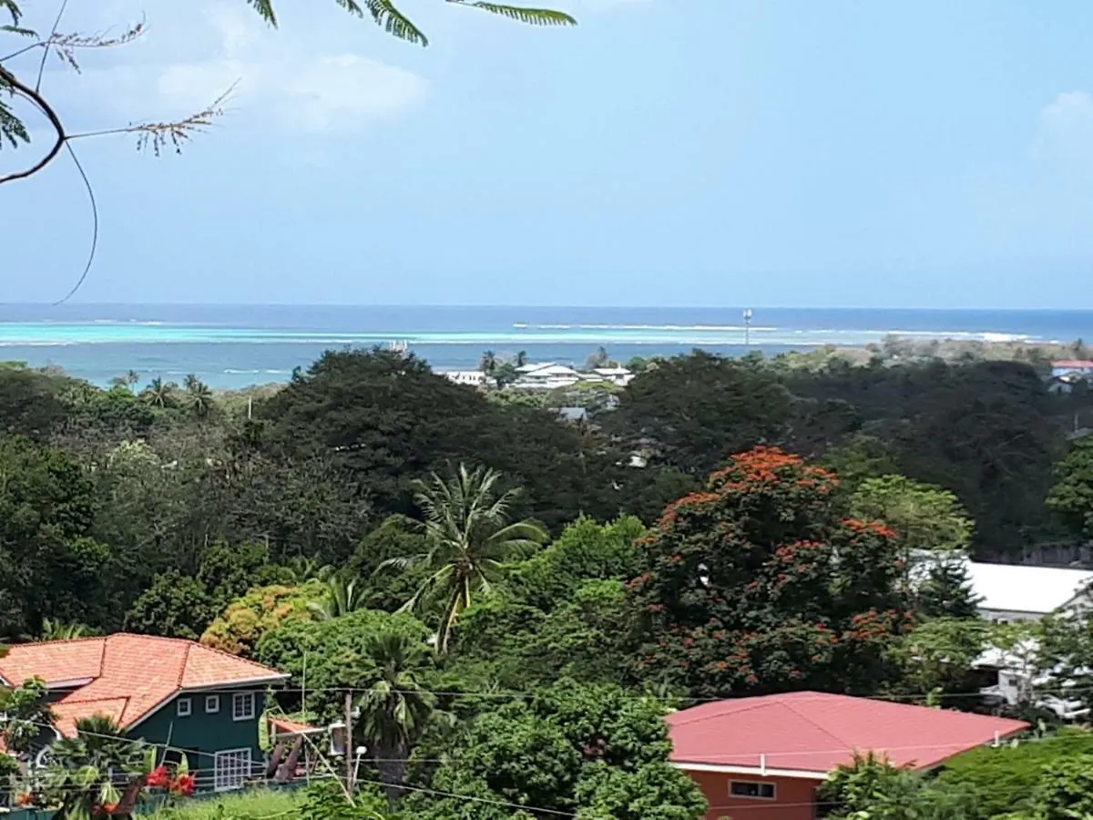 The Nest Tobago Apartments Buccoo
