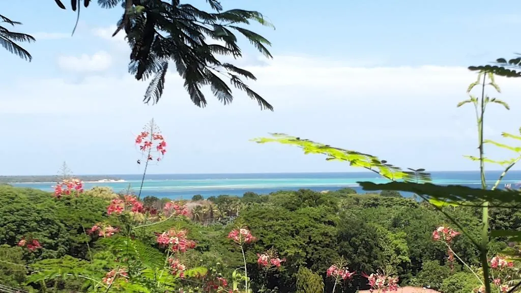 The Nest Tobago Apartments Buccoo Trinidad And Tobago